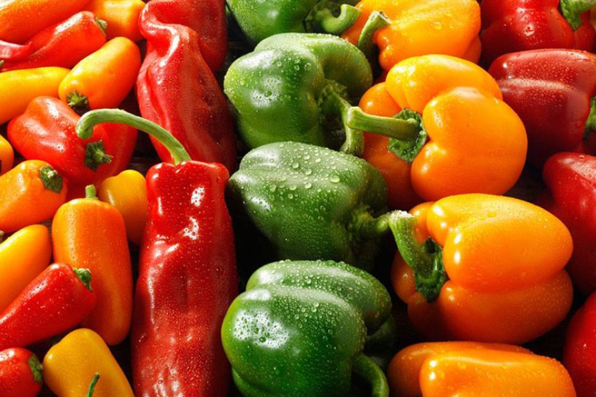 الفلفل الحلو.. ألوان متعددة وفوائد تعزز المناعة