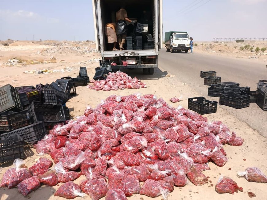 إتلاف كمية كبيرة من الفراولة غير صالحة للإستهلاك الآدمي في مديرية المنصورة بعدن