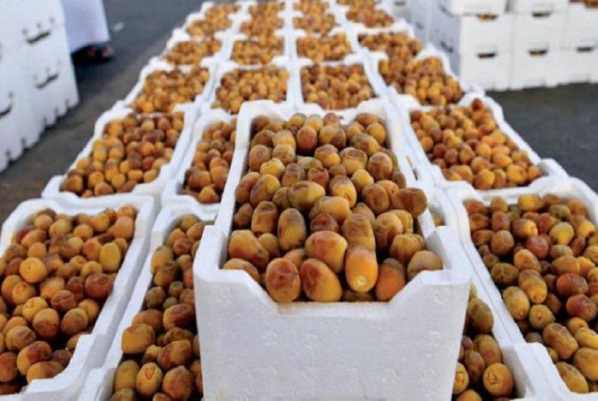 المملكة تعزز ريادتها عالمياً بصادرات التمور إلى أكثر من 125 دولة