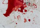 ولي أمر يقتحم قاعة الامتحان ويعتدي على معلمات بوحشية في هذه المحافظة