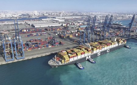 مسار بديل عن مضيقي هرمز وباب المندب تتخذه أكبر شركة شحن في العالم