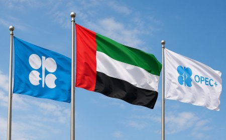 اتفاق جديد  داخل أوبك+ لزيادة إنتاج النفط بعد انسحاب الإمارات
