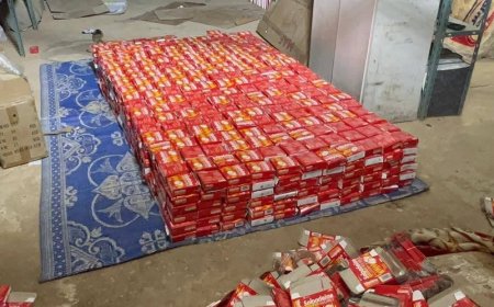 إحباط تهريب شحنة خطرة في الوديعة تضم سيانيد الصوديوم وأقراص سولبادين