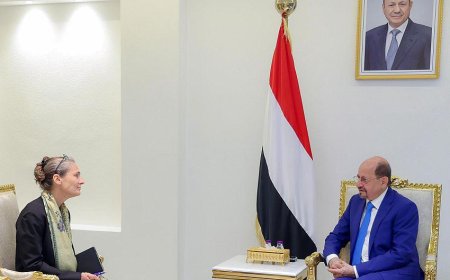 الزنداني يبحث مع سفيرة هولندا تعزيز التعاون الثنائي ودعم القطاع التنموي في اليمن