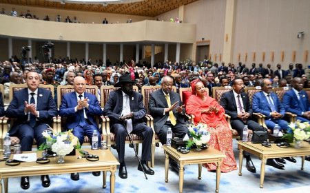 العليمي يشارك رؤساء الدول والحكومات في مراسم تنصيب الرئيس الجيبوتي