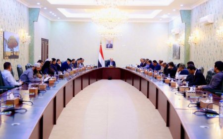 رئيس الوزراء يعلن عزم الحكومة إنشاء وحدة للشراكة بين القطاعين العام والخاص