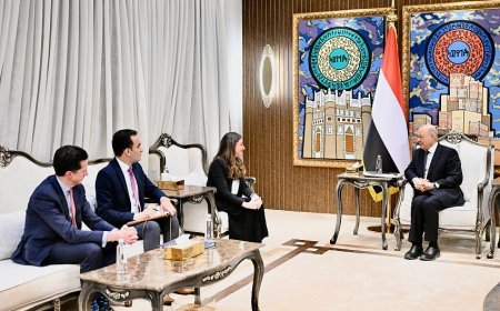 العليمي يحذر من التعامل مع الحوثيين كسلطة أمر واقع
