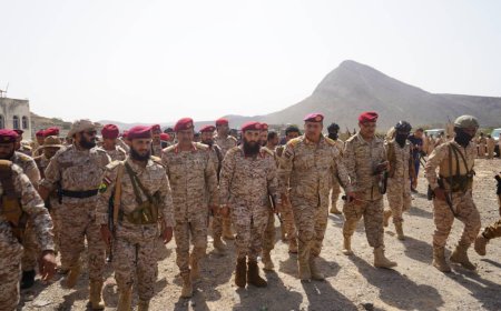 لجنة وزارة الدفاع تشرف على عملية الاستلام والتسليم بمحور ابين
