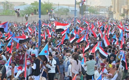 محلل سياسي يفتح النار على بقايا  المجلس الإنتقالي المنحل