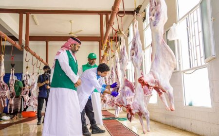 مركز الملك سلمان يطلق مشروع الأضاحي دعماً للأسر الأشد احتياجاً.. تفاصيل