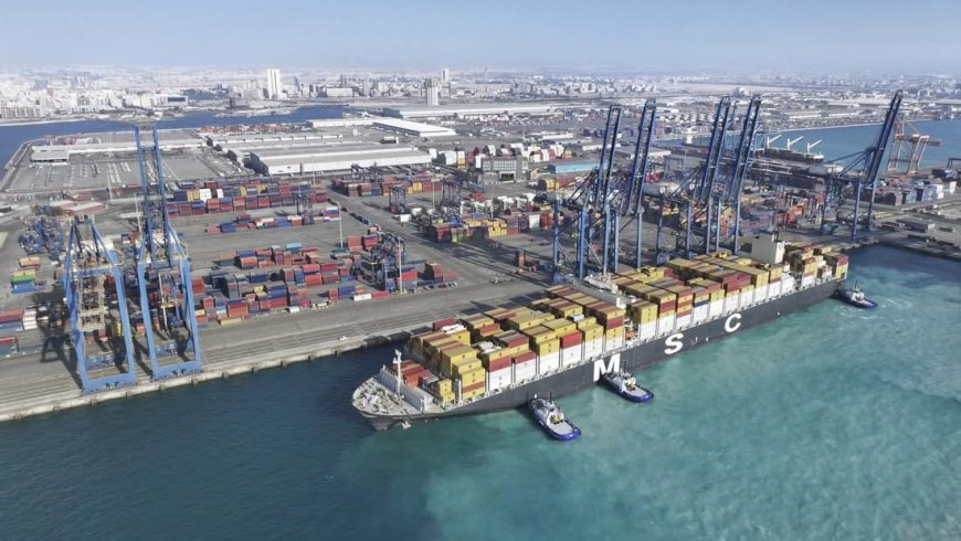 مسار بديل عن مضيقي هرمز وباب المندب تتخذه أكبر شركة شحن في العالم