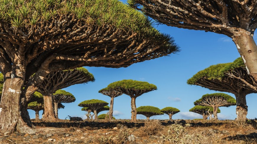 عودة مسؤول حكومي الى هذه المحافظة بعد غياب طويل يثير عدد من التساؤلات