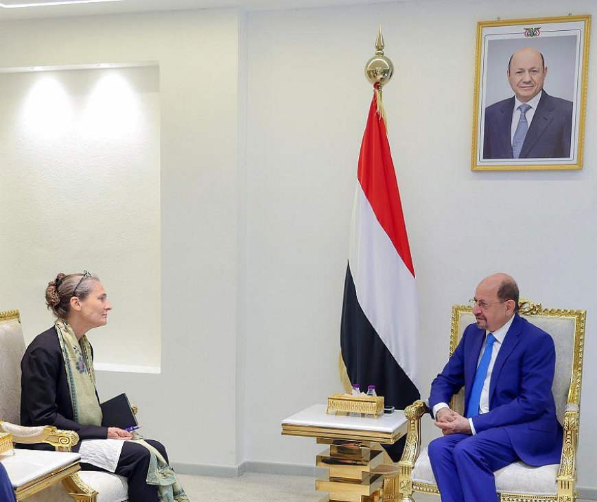الزنداني يبحث مع سفيرة هولندا تعزيز التعاون الثنائي ودعم القطاع التنموي في اليمن