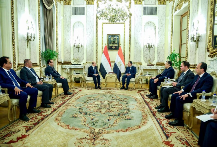 الزنداني يبحث مع نظيره المصري تعزيز التعاون بين البلدين وأمن البحر الأحمر