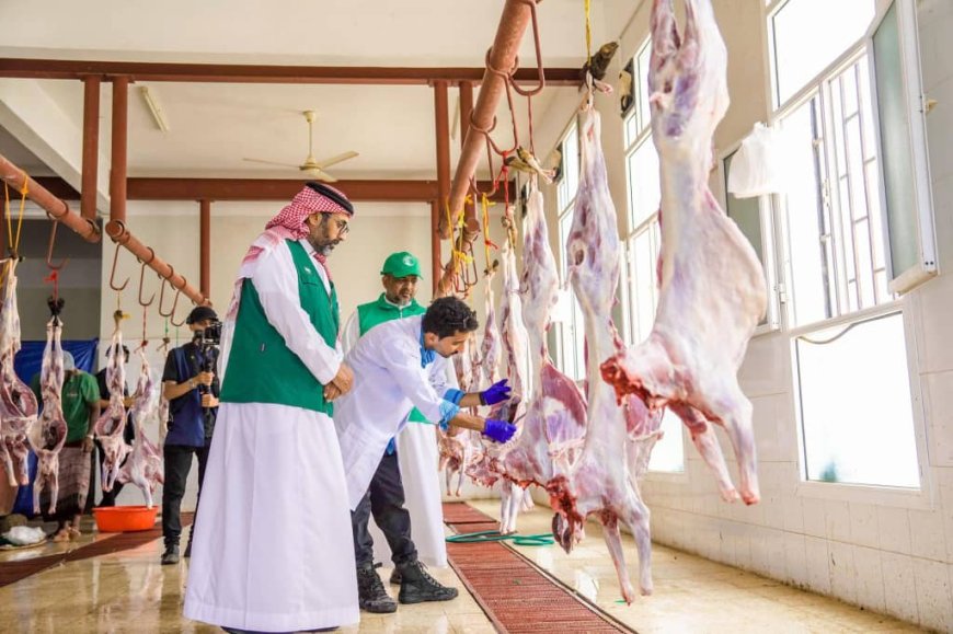 مركز الملك سلمان يطلق مشروع الأضاحي دعماً للأسر الأشد احتياجاً.. تفاصيل