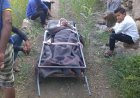 في مشهد مؤثر.. مرضى يُنقلون على الأكتاف في هذه المدينة بسبب وعورة الطريق