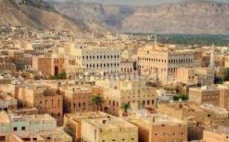 مكافحة المخدرات بوادي وصحراء حضرموت تضبط شخصاً بحوزته مواد مخدرة بسيئون