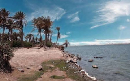 وفاة صياد يمني على سواحل الخوخة لهذا السبب