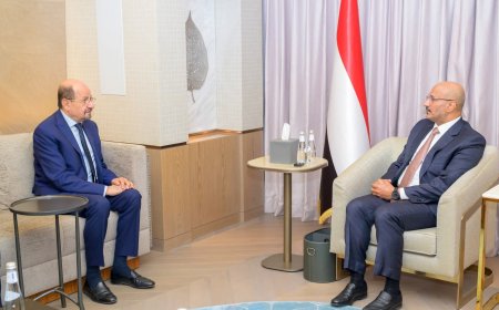 عضو مجلس القيادة طارق صالح يلتقي رئيس مجلس الوزراء ويؤكد دعم جهود الحكومة لتحسين الخدمات والإصلاحات الاقتصادية