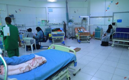 عدن وحضرموت تتصدر المحافظات المحررة إصابة بحمى الضنك
