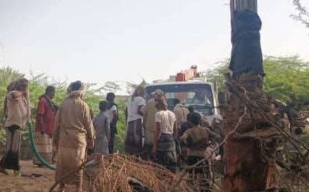 حريق واسع يلتهم منازل وعشرات النخيل في شبوة