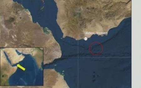 هجوم مسلح يستهدف سفينة تجارية قبالة سواحل عدن