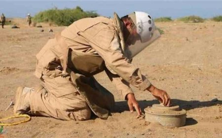 مشروع "مسام" ينتزع أكثر من أربعة آلاف لغم وذخيرة متفجرة في اليمن خلال شهر يونيو
