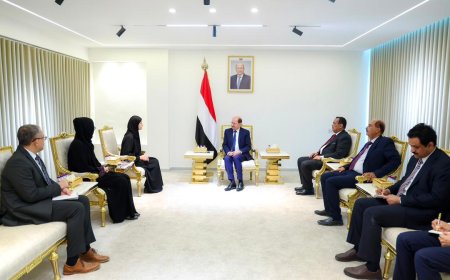 الزنداني يبحث مع الصليب الأحمر ترتيبات تنفيذ اتفاقية تبادل المحتجزين