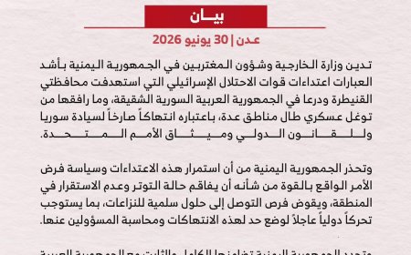 بلادنا تدعو إلى تحرك دولي لوقف الاعتداءات الإسرائيلية على سوريا