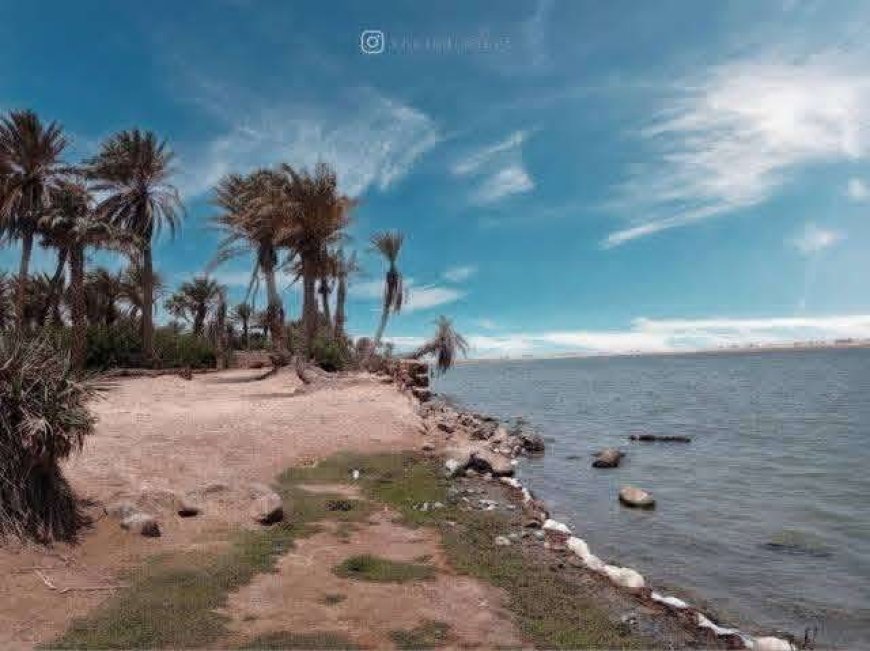وفاة صياد يمني على سواحل الخوخة لهذا السبب