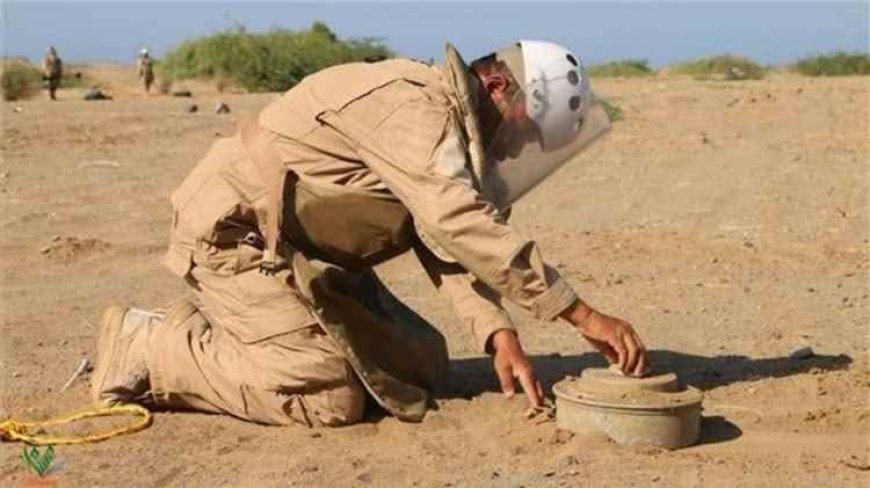 مشروع "مسام" ينتزع أكثر من أربعة آلاف لغم وذخيرة متفجرة في اليمن خلال شهر يونيو