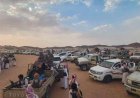 بعد تعثر الوساطات.. قبائل الجوف تعلن الاستنفار وتلوّح بالمواجهة