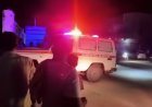 ذئب مفترس يصيب أكثر من 8 أشخاص في هذه المديرية بحضرموت.. تفاصيل