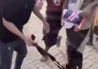 صحفي يدعو المجلس المنحل للاعتذار عن الاعتداء على مصور وتعويضه