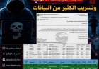 اختراق إلكتروني يستهدف أنظمة الطيران التابعة للحوثيين.. والكشف عن التفاصيل