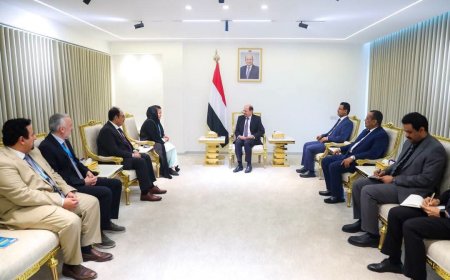 الزنداني يستقبل مديرة مكتب الأمم المتحدة لخدمات المشاريع