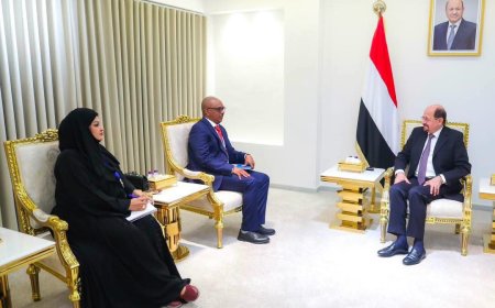 الزنداني يبحث مع المفوضية السامية سبل تعزيز حماية حقوق الإنسان