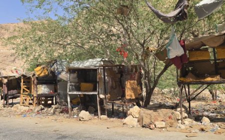 مطالبات شعبية بمنع سوق القات في منطقة القويرة بدوعن
