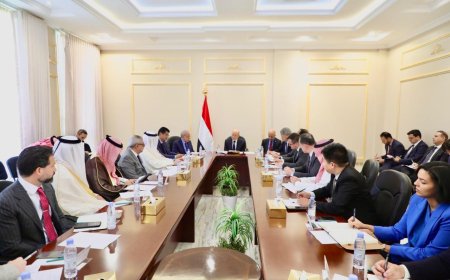 رئيس مجلس القيادة: رحلة الحرس الثوري إلى صنعاء خرق سافر للسيادة اليمنية