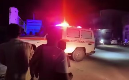 ذئب مفترس يصيب أكثر من 8 أشخاص في هذه المديرية بحضرموت.. تفاصيل