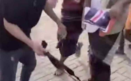 صحفي يدعو المجلس المنحل للاعتذار عن الاعتداء على مصور وتعويضه