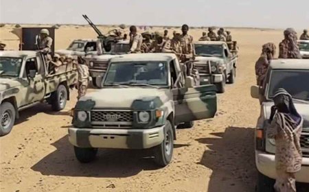قوات درع الوطن تدشن عملية أمنية لتعقب قطاع الطرق في صحراء العبر