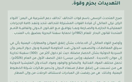 التحالف يعلن بدء تنفيذ إجراءات لحماية السفن التجارية في باب المندب