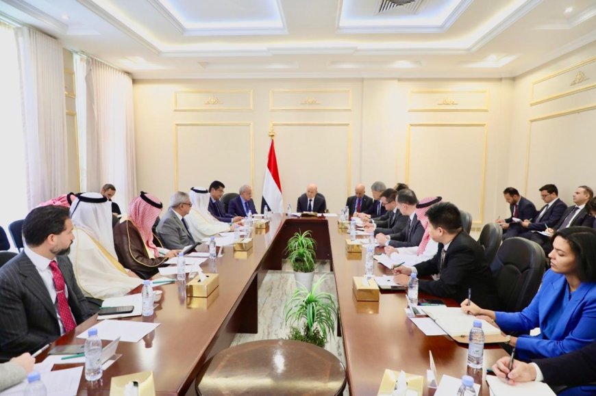 رئيس مجلس القيادة: رحلة الحرس الثوري إلى صنعاء خرق سافر للسيادة اليمنية