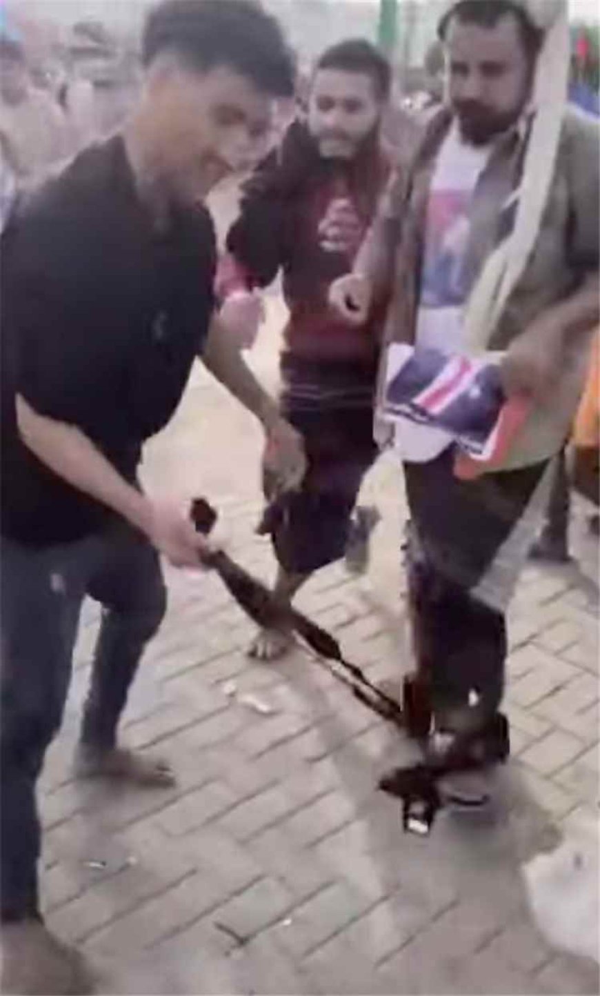 صحفي يدعو المجلس المنحل للاعتذار عن الاعتداء على مصور وتعويضه