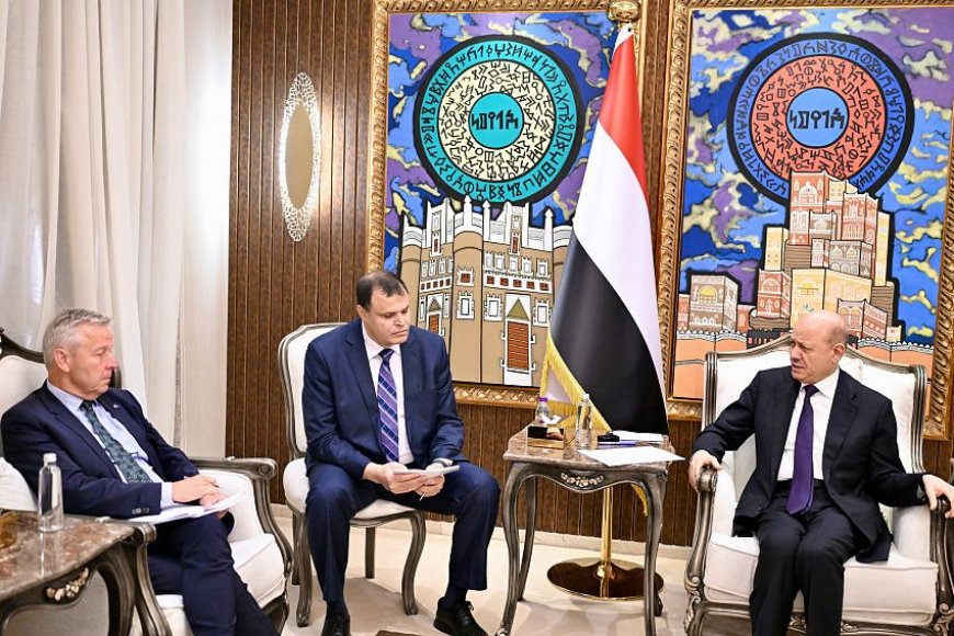 العليمي: الدولة أرست معادلة ردع قوية دون التخلي عن مسار السلام