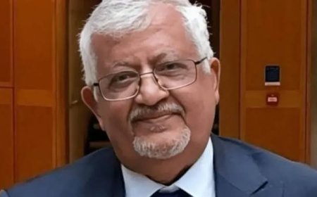 لماذا المخا؟