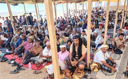 بعد تسعة أعوام من الثأر وسقوط ضحايا.. صلح قبلي ينهي نزاع الترابية والبصيلة في الصبيحة