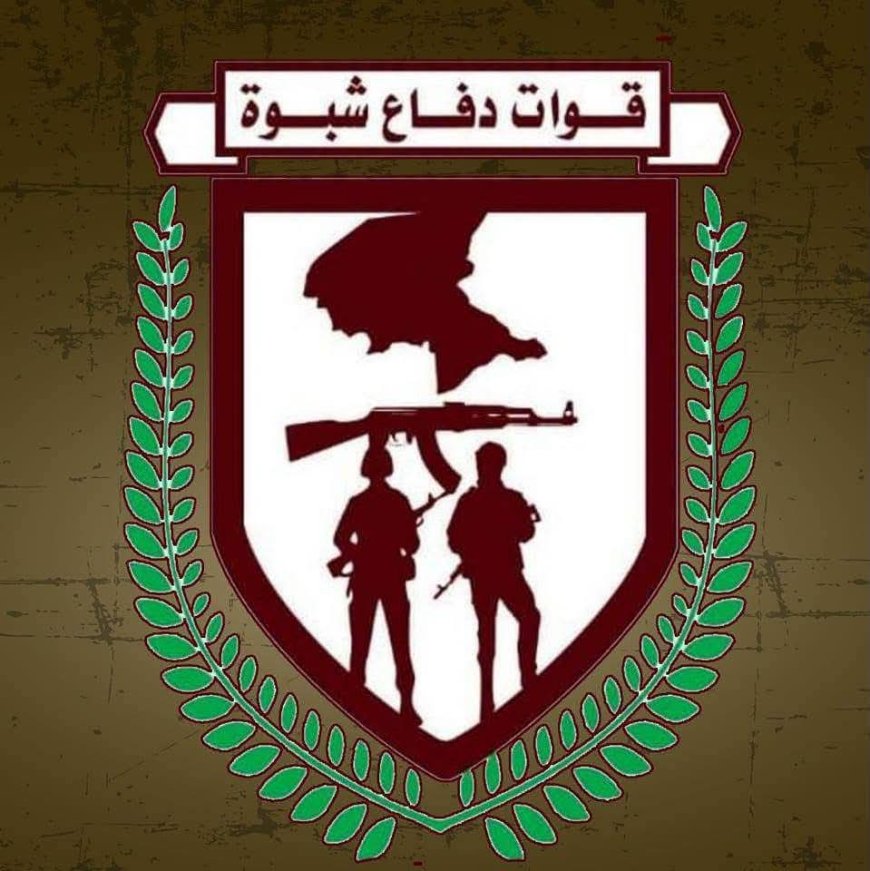 قوات دفاع شبوة تعلن تنفيذ عملية استهدفت مواقع للحـ.ـوثيين في جبهة حريب