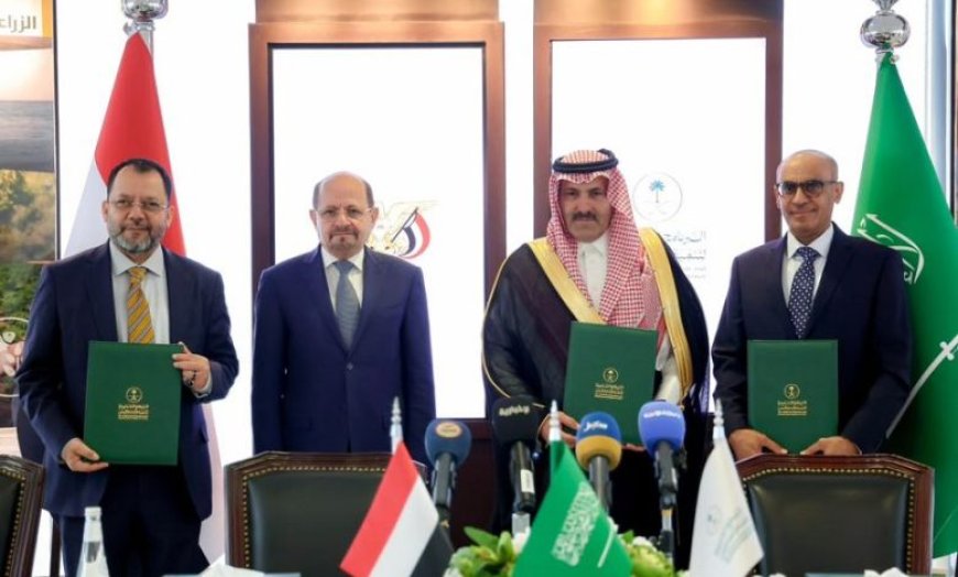 من الكهرباء إلى الصحة والتعليم.. السعودية توسع مشاريعها التنموية في اليمن